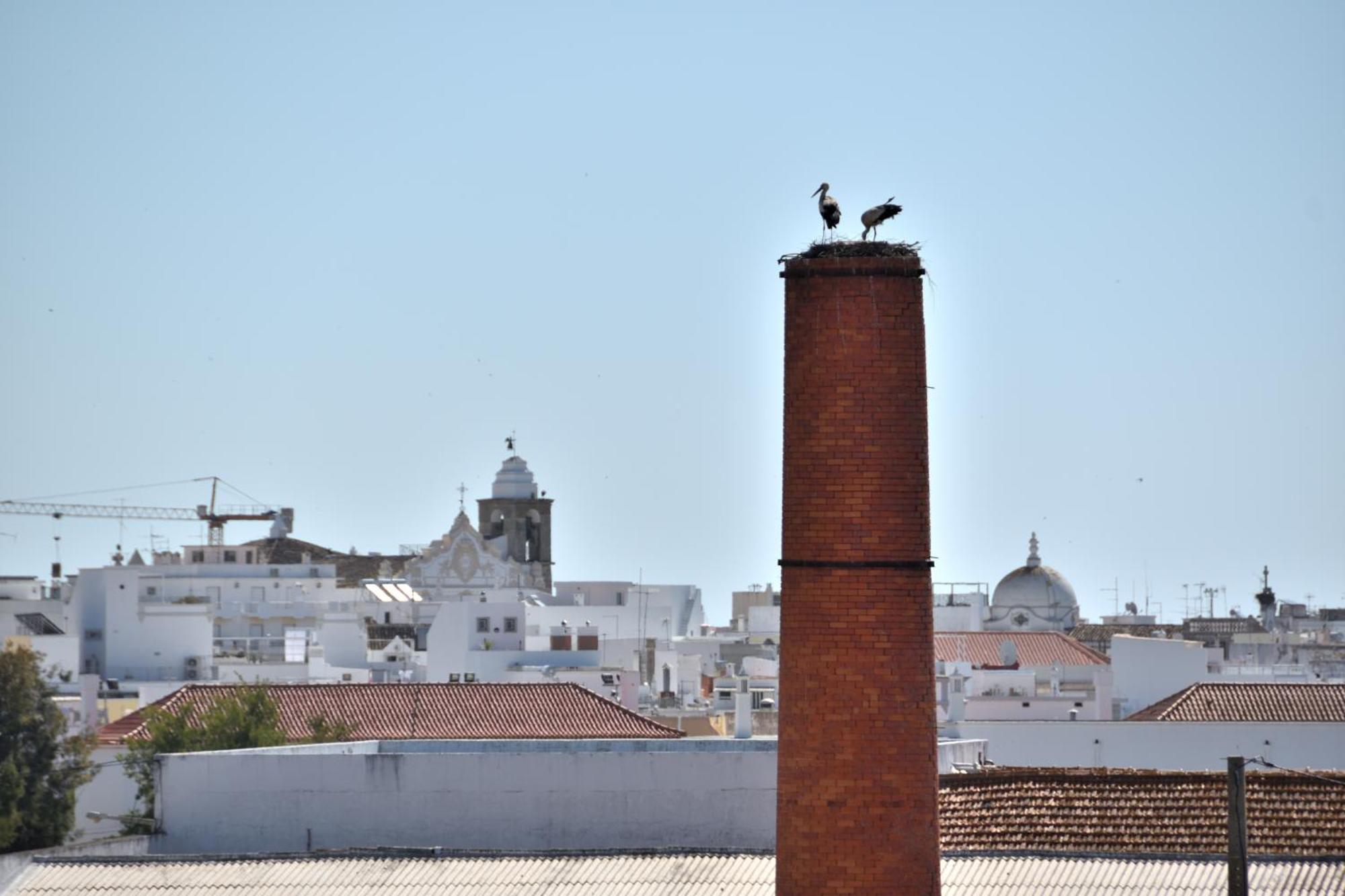 Stork Apartment Olhão Εξωτερικό φωτογραφία